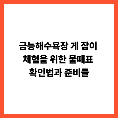 금능해수욕장 게 잡이 체험을 위한 물때표 확인법과 준비물 썸네일